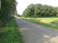 210-535, W, 2011-09-16, NL-Martha Sol, 52.806419 NB-6.208625 OL, Westerveld