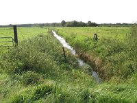 210-535, Z, 2011-09-16, NL-Martha Sol, 52.806419 NB-6.208625 OL, Westerveld
