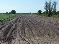 211-537, W, 2011-05-25, NL-Frans van Dongen, 52.823229 NB-6.226432 OL, Westerveld