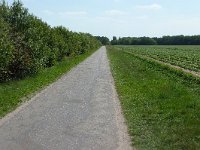211-537, Z, 2011-05-25, NL-Frans van Dongen, 52.823229 NB-6.226432 OL, Westerveld