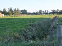 221-573, Z, 2012-10-11, NL-Karel Stoop, 221628-573643, Noordenveld