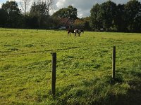 223-574, W, 2012-10-15, NL-Karel Stoop, 223471-574500, Noordenveld