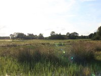 225-536,W,31-08-2011,NL-HansBoll,22548-536499,Dwingeloo