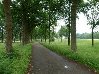 227-528, O, 2011-06-06, NL-Hero Moorlag, 52.442058 NB-6.274040 OL, Hoogeveen