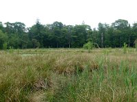 227.529, O, 2011-06-06, NL-Hero Moorlag, 52.445264 NB-6.273939, Hoogeveen