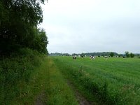 227.529, Z, 2011-06-06, NL-Hero Moorlag, 52.445264 NB-6.273939, Hoogeveen