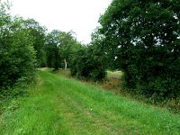 227-531, O, 2011-06-16, NL-Hero Moorlag, 52.455762 NB-6.274105, Hoogeveen