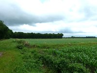 227-531, W, 2011-06-16, NL-Hero Moorlag, 52.455762 NB-6.274105, Hoogeveen