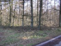 227-566, O, 2013-02-27, NL-Ton Schoenmaker, 53.08130 NB -6.47039 OL, Noordenveld