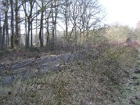 227-566, W, 2013-02-27, NL-Ton Schoenmaker, 53.08130 NB -6.47039 OL, Noordenveld