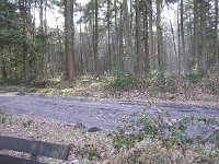 227-566, Z, 2013-02-27, NL-Ton Schoenmaker, 53.08130 NB -6.47039 OL, Noordenveld