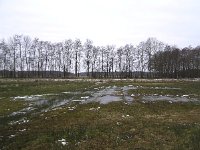 228-567, W, 2013-02-13, NL-Ton Schoenmaker, 53.089214 NB-6.487158 OL, Noordenveld