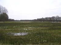 228-567, Z, 2013-02-13, NL-Ton Schoenmaker, 53.089214 NB-6.487158 OL, Noordenveld