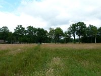 229-531, O, 2011-06-16, NL-Hero Moorlag, 52.455778 NB-6.292812, Hoogeveen