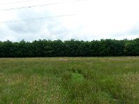 229-531, W, 2011-06-16, NL-Hero Moorlag, 52.455778 NB-6.292812, Hoogeveen