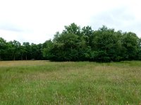 229-531, Z, 2011-06-16, NL-Hero Moorlag, 52.455778 NB-6.292812, Hoogeveen