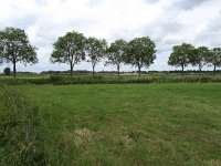 229-579, Noordenveld