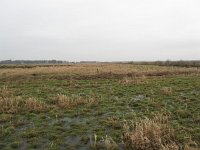 230-575, Noordenveld