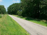 232-564, O, 2012-09-07, NL-Bob Mijwaard, 53.06111 NB - 06.54056 OL, Tynaarlo