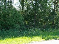 232-564, Z, 2012-09-07, NL-Bob Mijwaard, 53.06111 NB - 06.54056 OL, Tynaarlo