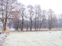 232-576, O,  29-01-2011, NL-Jacob Gunter, 53.167943 NB- 6.543373 OL, Tynaarlo