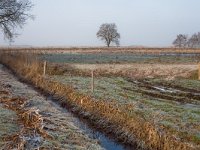 232-576, W,  29-01-2011, NL-Jacob Gunter, 53.167943 NB- 6.543373 OL, Tynaarlo