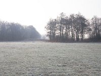 232-576, Z,  29-01-2011, NL-Jacob Gunter, 53.167943 NB- 6.543373 OL, Tynaarlo