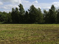 234-570, Z, 2012-06-02, NL-G.de Heij, 53.117332 NB-6.579012 OL, Tynaarlo