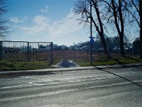 236-571, Z, 2011-02-22, NL-Reinier Treur, 53.124146 NB- 6.604385 OL, Tynaarlo