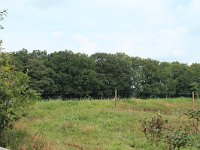 239-568,N,2013-08-30,NL-y de vries,239439-568444,Tynaarlo