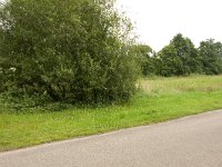 240-543,O,2011-07-20,NL-Tinus Knegt,240429-543565,Midden-Drenthe