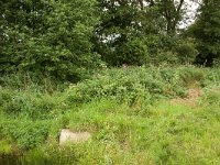 240-543,W,2011-07-20,NL-Tinus Knegt,240429-543565,Midden-Drenthe
