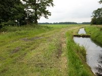 240-543,Z,2011-07-20,NL-Tinus Knegt,240429-543565,Midden-Drenthe