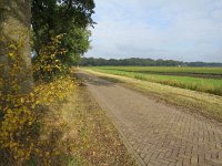 244-533, Coevorden