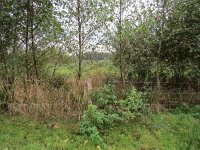 245-533, Z, 2016-10-22, NL-Peter Vlamings, 245500-533502, Coevorden