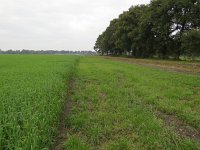 245-536, Coevorden