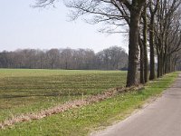 254-524, O, 2012-03-22, NL-Henk Zwols, 52.699281 NB-6.859315 OL, Emmen
