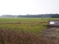 254-524, Z, 2012-03-22, NL-Henk Zwols, 52.699338 NB-6.859200 OL, Emmen