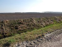 254-555, Z, 2012-03-28, NL-Kai Waterreus, 52.97806 NB - 06.86611 OL, Borger-Odoorn