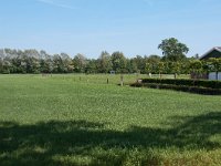 255-521, O, 2011-05-23, NL-Henk Zwols, 52.671531 NB-6.873436 OL, Emmen