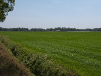 255-522, Z, 2011-05-23, NL-Henk Zwols, 52.680806 NB-6.871281 OL, Emmen