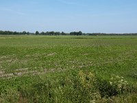 255-523, O, 2011-05-23, NL-Henk Zwols, 52.690443 NB-6.873933 OL, Emmen