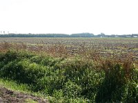255-552,Z,2011-09-30,NL,Martin B. Cuperus,52.950140NB-6.882062OL,Borger-Odoorn
