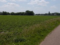 256-519, Z, 2011-05-23, NL-Henk Zwols, 52.653616 NB-6.884990 OL, Emmen