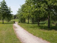 256-521, W, 2011-05-23, NL-Henk Zwols, 52.670545 NB-6.887398 OL, Emmen