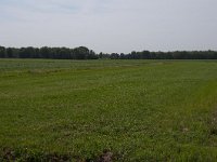 256-522, W, 2011-05-23, NL-Henk Zwols, 52.680410 NB-6.885098 OL, Emmen
