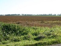 256-550,Z,2011-09-30,NL,Martin B. Cuperus,52.929078NB-6.898986OL,Borger-Odoorn