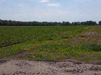 258-520, Z, 2011-05-23, NL-Henk Zwols, 52.662931 NB-6.918375 OL, Emmen