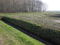 259-541,O,2014-03-13,NL-Tinus Knegt,259280-541740,Borger-Odoorn