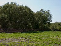 260-521, W, 2011-05-21, NL-Henk Zwols, 52.670678 NB-6.944571 OL, Emmen